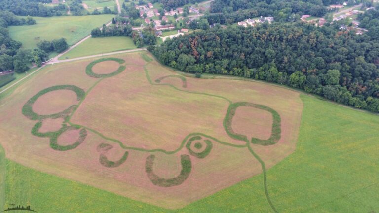 Modern aerial view showing visible earthwork outlines and geometric shapes at the Junction Earthworks site, appearing as crop and vegetation patterns in an open field.