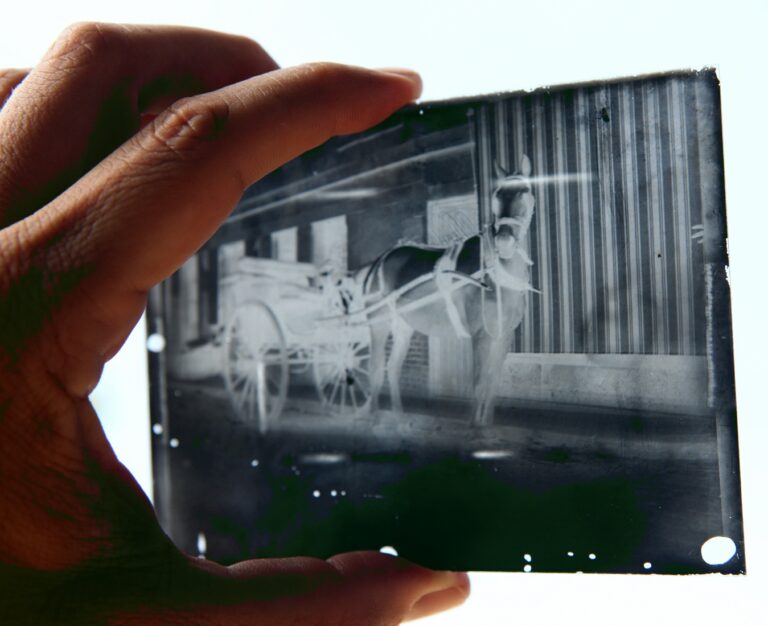Glass photographic dry plate negative held up to light